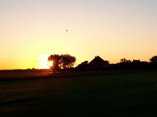 B&B Beemsterblik