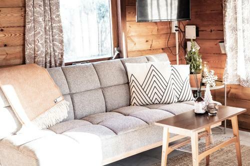 Scandinavisch Huisje Met Vuurplaats