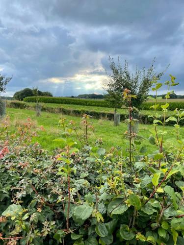 Camping Lagewald Vakantiehuis