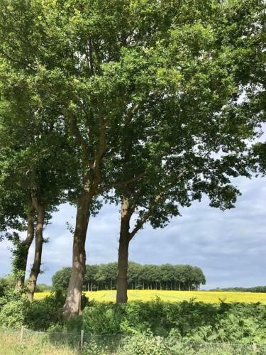 Camping Lagewald Vakantiehuis