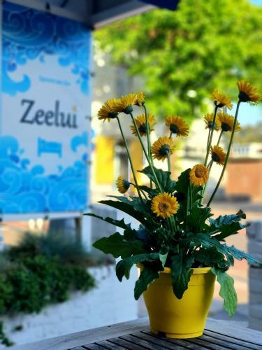 Hotel Zeelui