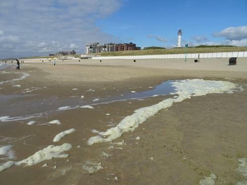 Apartamento Op Strand