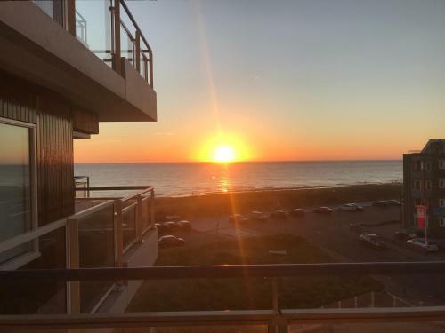 Apartamento Zeesterflat 117
