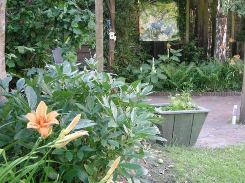 B&B Overnachting De Margriet