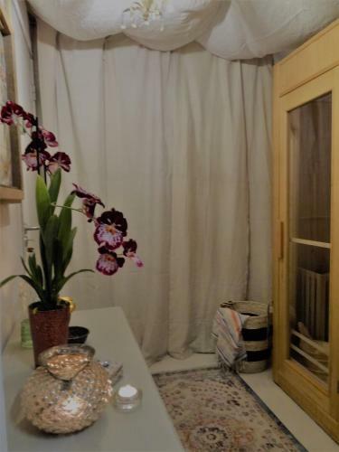 B&B De Bonaparte