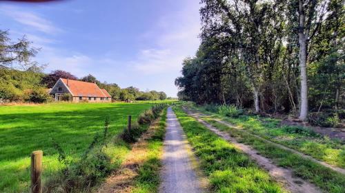 Knus Chalet Aan Zwemvijver En Bos