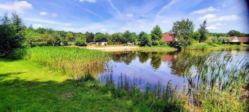 Knus Chalet Aan Zwemvijver En Bos