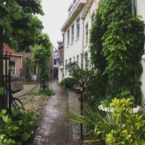 Apartamento B&B Het Vogeltje