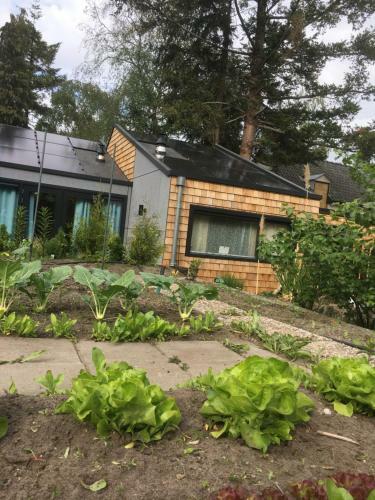 Apartamento B&B Het Vogeltje