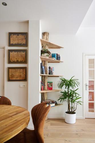 Cozy Typical Dutch Apartments