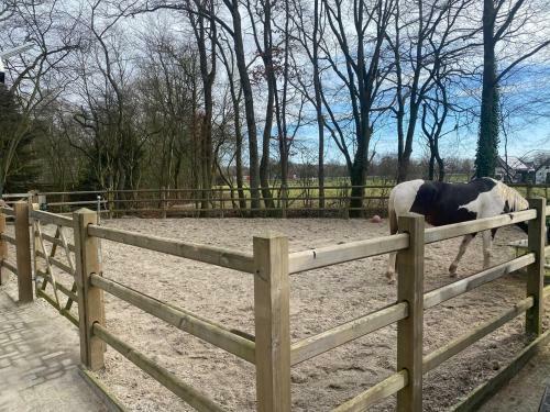 Bed & Breakfast In Den Paerd Gelogeerd