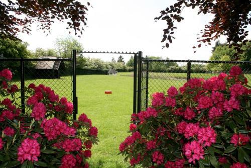 Bed & Breakfast In Den Paerd Gelogeerd