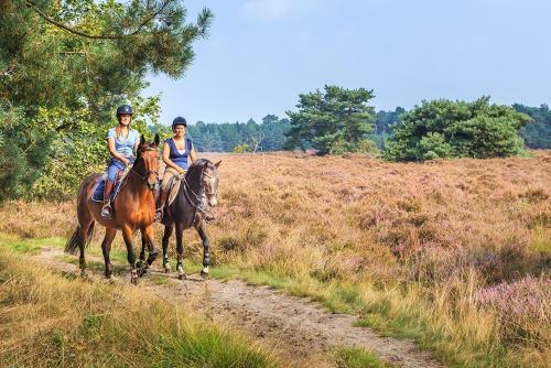 Bed & Breakfast In Den Paerd Gelogeerd