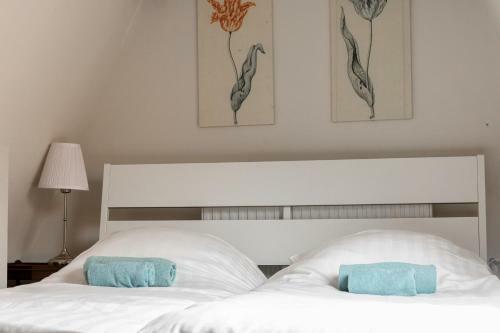 Haarlem Vineyard House