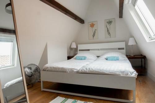 Haarlem Vineyard House