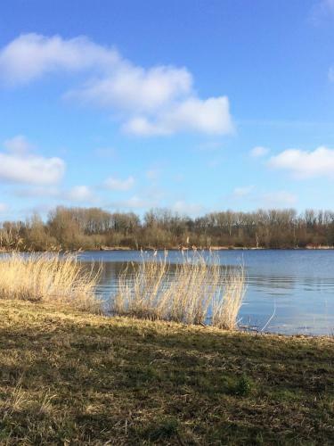 Bed & Breakfast Haarlem 49