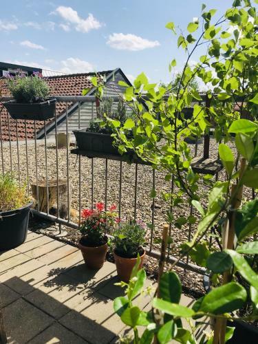 Apartamento Appartement Amsterdamsevaart