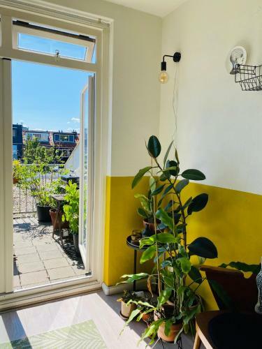 Apartamento Appartement Amsterdamsevaart
