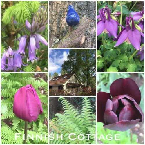 Cosy & Natural *fireplace*garden*2 Bikes