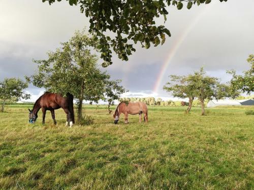 Apartamento Huize Blokland Vakantiewoning Op de Boerderij