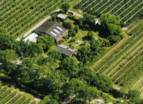 B&B Elbahof, Goed En Goedkoop!