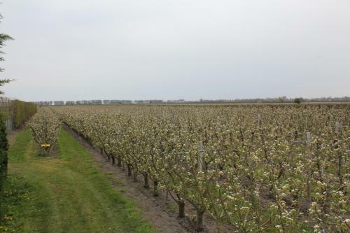 B&B Elbahof, Goed En Goedkoop!