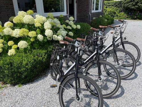 Luxury Villa In Helmond With A Private Pool