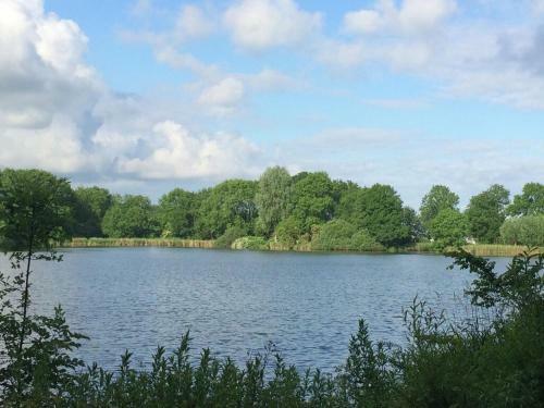 Detached Chalet With Two Terraces, Near Alkmaar
