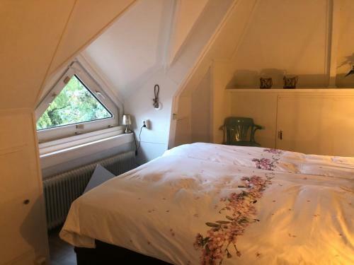 Hostal Guesthouse Villa De Eikhof