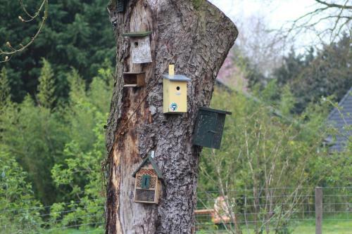 Bed & Breakfast De Distelweide