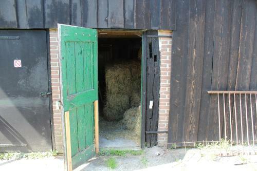 Bed & Breakfast De Distelweide