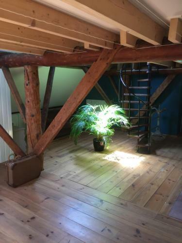 Bed & Breakfast De Distelweide