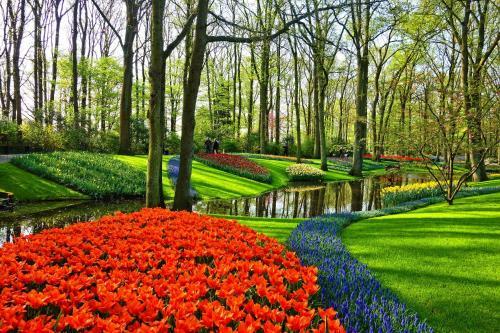 Bed & Breakfast De Groene Bollenschuur