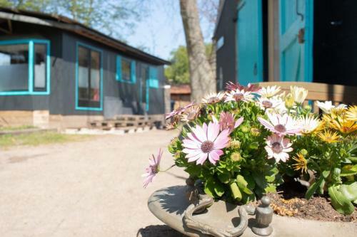 Bed & Breakfast De Buitenboel Bijons4