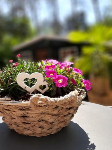 Secret Wellness Boszicht