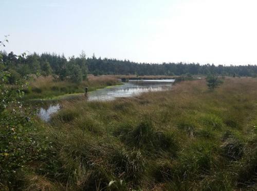 Heerlijke Vakantie In Het Mooie Drenthe !