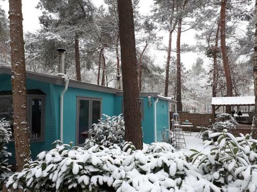 Boshuis Turquoise / Smaakvol Genieten Op de Veluwe