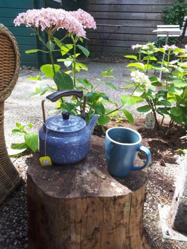 Boshuis Turquoise / Smaakvol Genieten Op de Veluwe