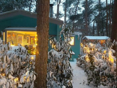 Boshuis Turquoise / Smaakvol Genieten Op de Veluwe