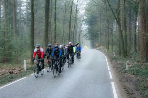 Kunstenaars Boshuisje Veluwe