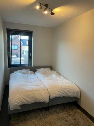 Villa Luxurious And Spacious House With All Facilities