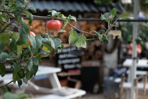 Bed & Breakfast Den Oude Herberg