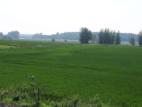 Bed & Breakfast Klein Cambron