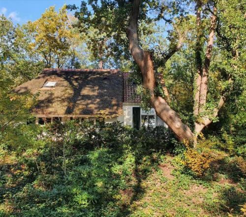 Cottage Uylenhorst, De Witte Bergen 34