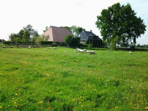 Bed & Breakfast De Wylgepleats