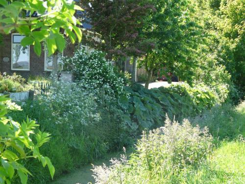 Bed & Breakfast De Wylgepleats