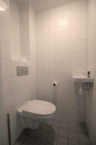 Villa De Witte Bergen 84