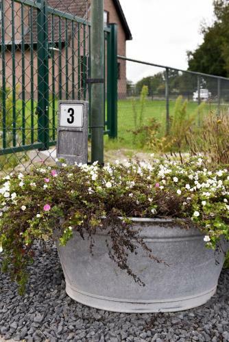 Bed & Breakfast Levenslust Hulshorst