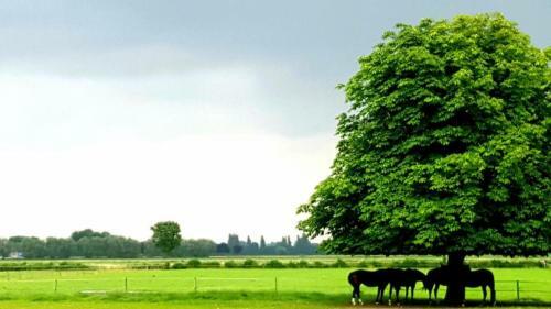 Bed & Breakfast Waard Van Kekerdom
