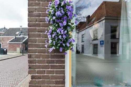 Bed & Breakfast De Juttershoek Centrum